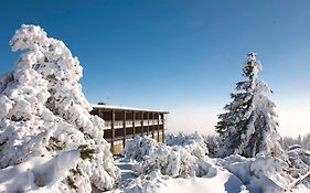 Nationalpark-hotel Schliffkopf  4*